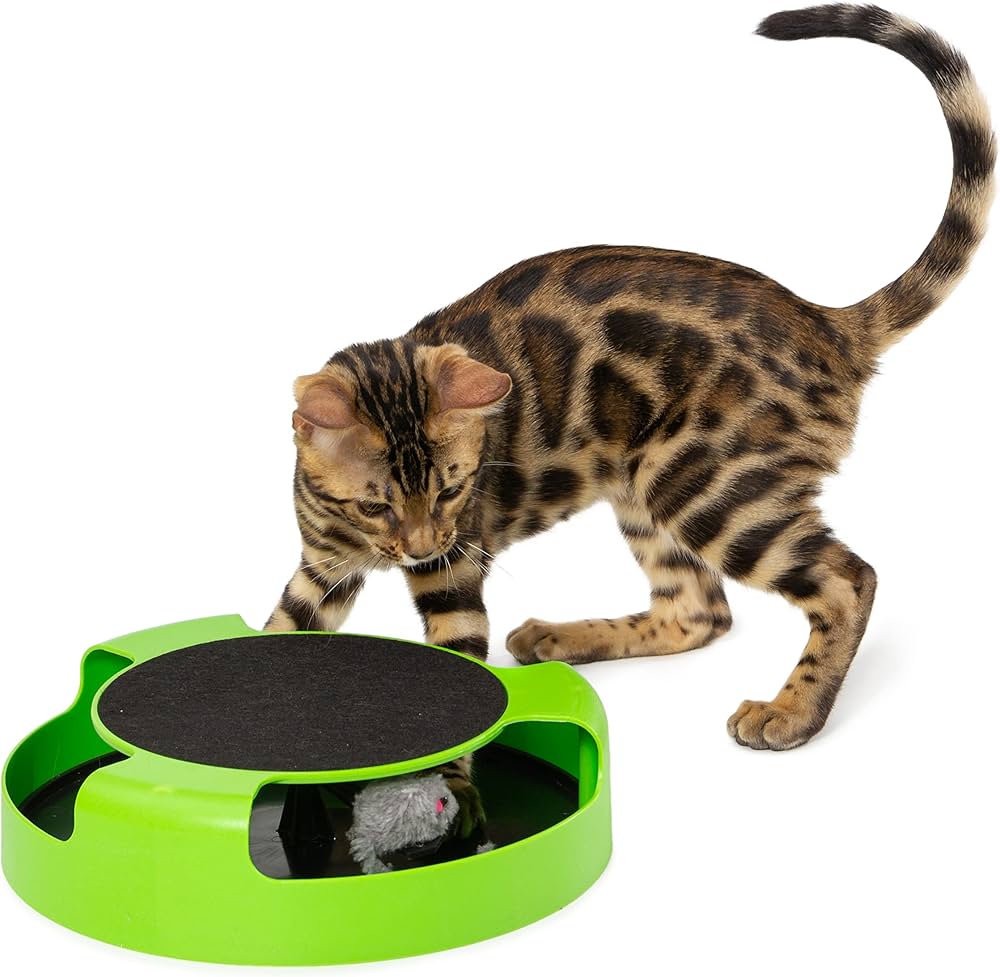 Juguete de gato atrapar raton