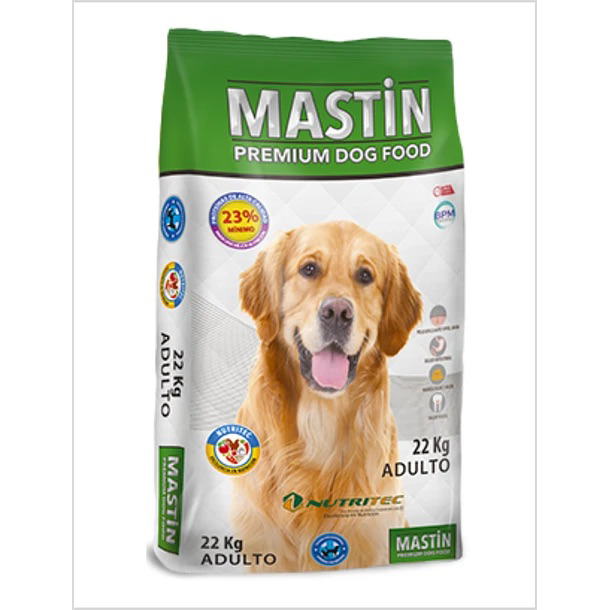 Mastin Adulto