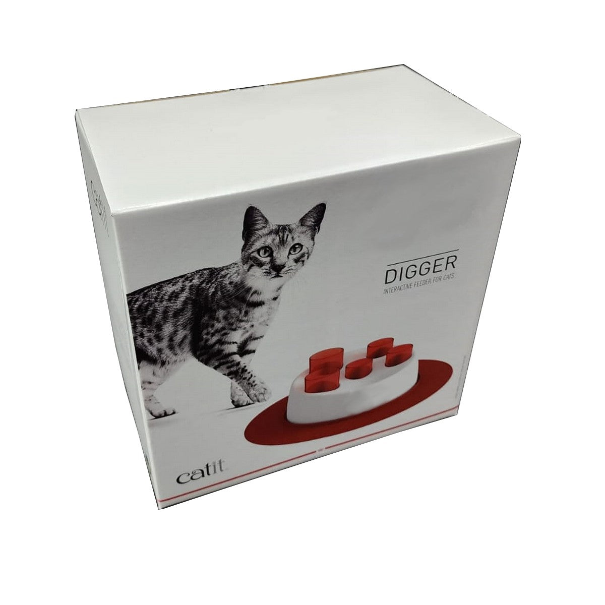 PLATO INTERACTIVO GATO