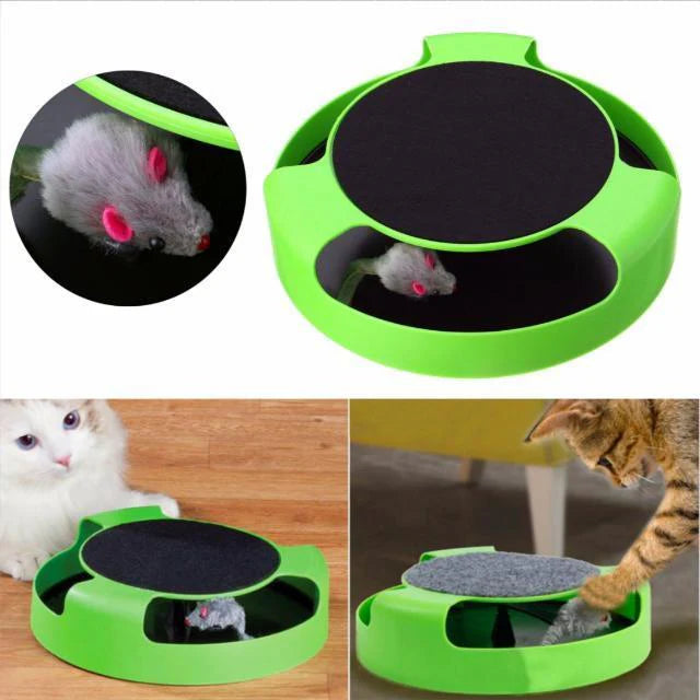 Juguete de gato atrapar raton