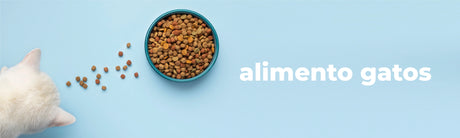 ALIMENTO GATO