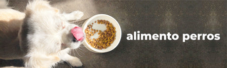 ALIMENTO PREMIUM PERRO